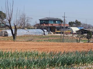 이미옥님의 일손 구하셨나요? · 참여글 작성글 사진