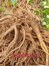 팜모닝 · 게시글 이미지