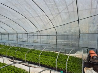 김영진(전남영광)님의 자유주제 · 자유게시판 작성글 사진