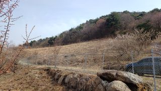 이순기님의 농사, 무엇이든 물어보세요! · 참여글 작성글 사진