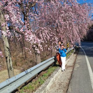 오영도님의 자유주제 · 자유게시판 작성글 사진