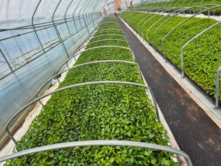 김영진(전남영광)님의 자유주제 · 자유게시판 작성글 사진