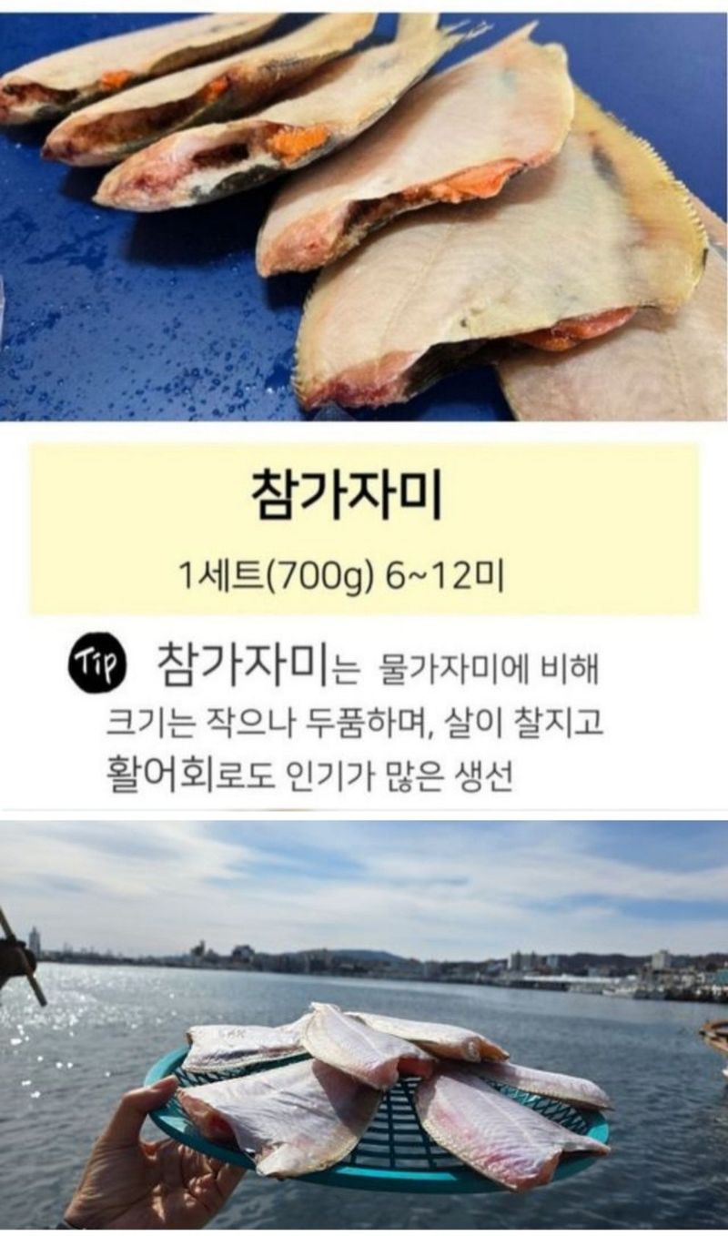농수사님의 장터 판매 상품 [동해안 자연산 참가자미 물가자미 산지직송 ] 첨부 사진