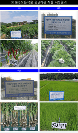 팜모닝 자유주제·자유게시판 게시글 이미지