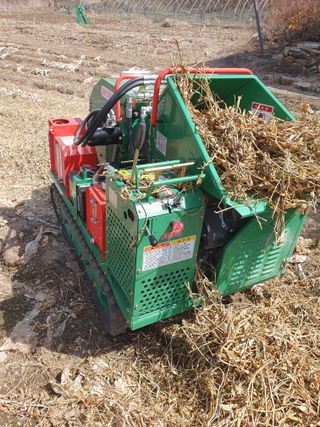 안비님의 자유주제 · 자유게시판 작성글 사진