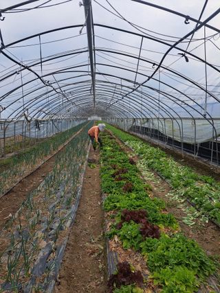 박정규님의 일손 구하셨나요? · 참여글 작성글 사진