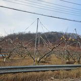 팜모닝 자유주제·자유게시판 게시글 이미지