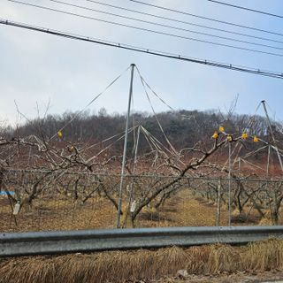 임승대님의 자유주제 · 자유게시판 작성글 사진