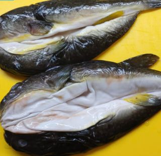 김진국님의 작성글 사진