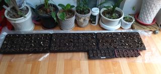 김영문님의 자유주제 · 자유게시판 작성글 사진