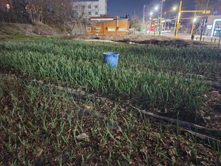 강미화11월출석왕♡님의 일손 구하셨나요? · 참여글 작성글 사진