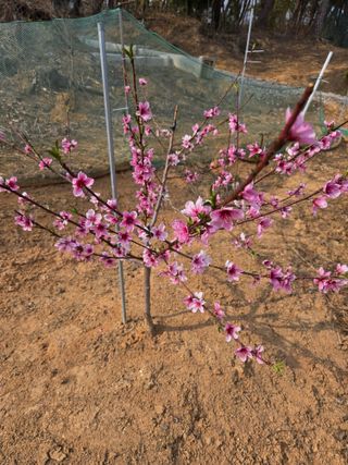 자연인님의 자유주제 · 자유게시판 작성글 사진