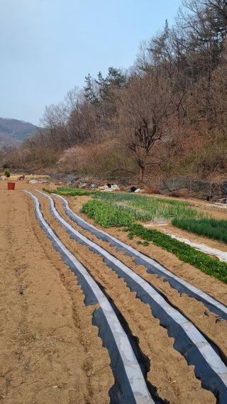 최영환님의 자유주제 · 자유게시판 작성글 사진