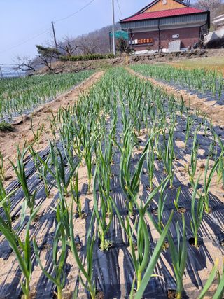 이민규님의 자유주제 · 자유게시판 작성글 사진