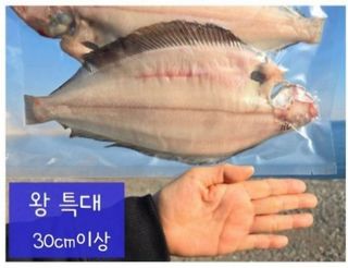 농수사님의 작성글 사진