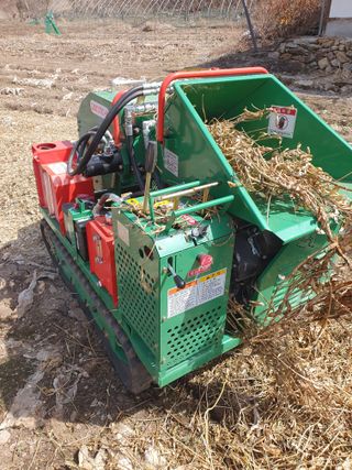 안비님의 자유주제 · 자유게시판 작성글 사진