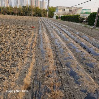 박용열조물주님 님의 자유주제 · 자유게시판 작성글 사진