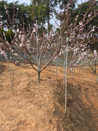 자연인님의 자유주제 · 자유게시판 작성글 사진