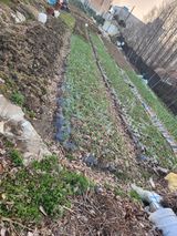 팜모닝 일손 구하셨나요?·참여글 게시글 이미지