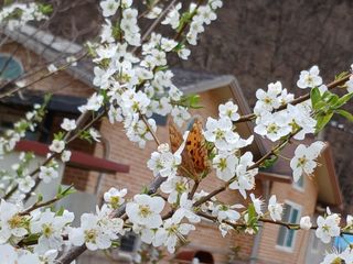 금동이네님의 자유주제 · 자유게시판 작성글 사진