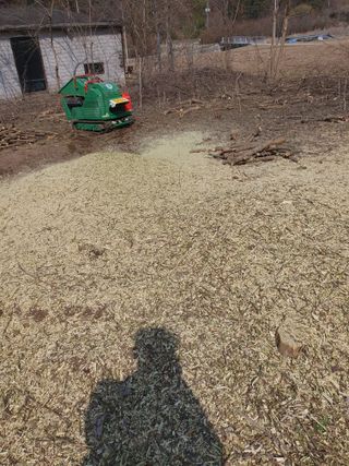 안비님의 자유주제 · 자유게시판 작성글 사진