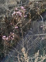 팜모닝 자유주제·자유게시판 게시글 이미지