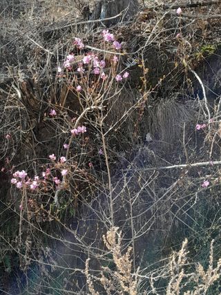 김민수산에서농사중님의 자유주제 · 자유게시판 작성글 사진