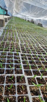 팜모닝 일손 구하셨나요?·참여글 게시글 이미지