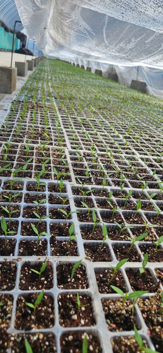 이정1님의 일손 구하셨나요? · 참여글 작성글 사진