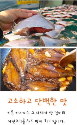 농수사님의 작성글 사진