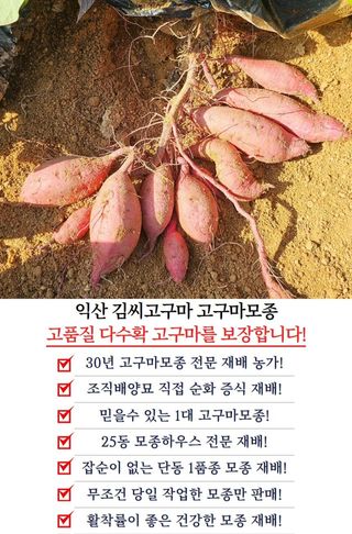 김동수님의 자유주제 · 자유게시판 작성글 사진