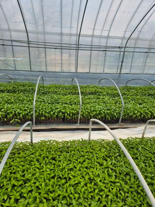 김영진(전남영광)님의 자유주제 · 자유게시판 작성글 사진