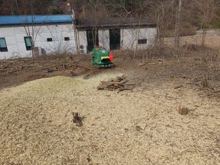 안비님의 자유주제 · 자유게시판 작성글 사진