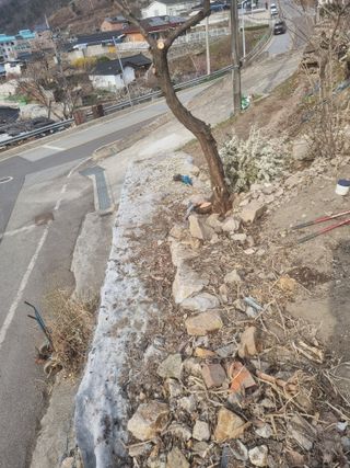 김용대님의 자유주제 · 자유게시판 작성글 사진