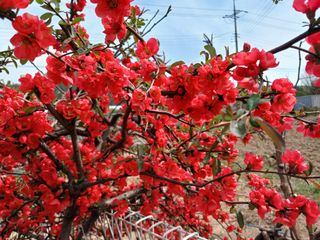 금동이네님의 자유주제 · 자유게시판 작성글 사진