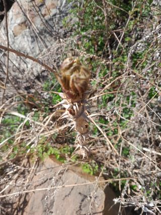 김민수산에서농사중님의 자유주제 · 자유게시판 작성글 사진