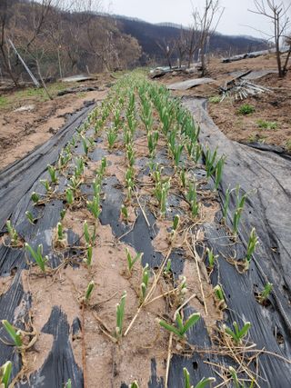 정연섭님의 자유주제 · 자유게시판 작성글 사진