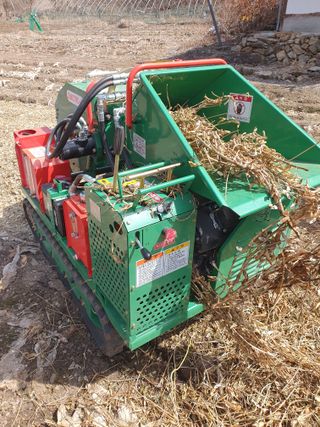 안비님의 자유주제 · 자유게시판 작성글 사진