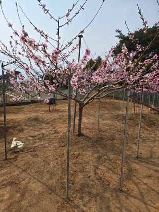 자연인님의 자유주제 · 자유게시판 작성글 사진