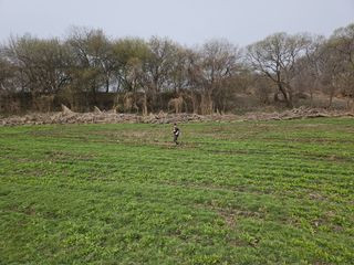 이병옥님의 작성글 사진
