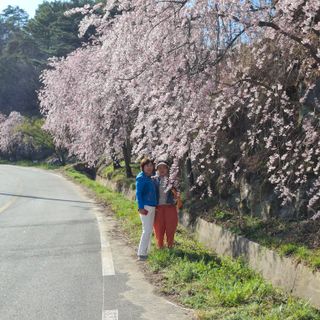 오영도님의 자유주제 · 자유게시판 작성글 사진
