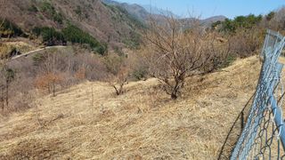 이순기님의 농사, 무엇이든 물어보세요! · 참여글 작성글 사진