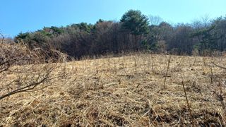 이순기님의 농사, 무엇이든 물어보세요! · 참여글 작성글 사진