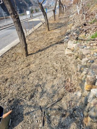 김용대님의 자유주제 · 자유게시판 작성글 사진