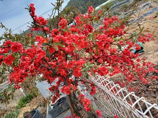 금동이네님의 자유주제 · 자유게시판 작성글 사진
