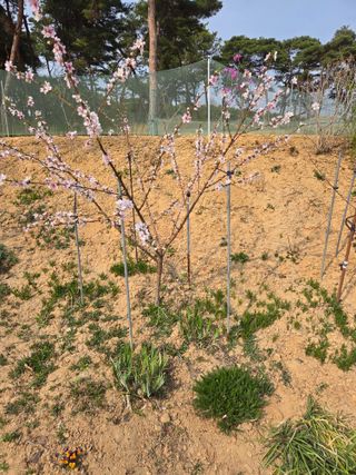 자연인님의 자유주제 · 자유게시판 작성글 사진