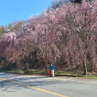 오영도님의 자유주제 · 자유게시판 작성글 사진