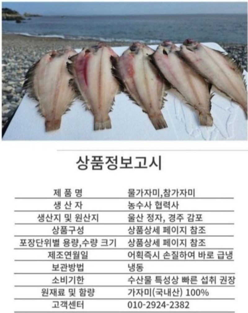 농수사님의 장터 판매 상품 [동해안 자연산 참가자미 물가자미 산지직송 ] 첨부 사진