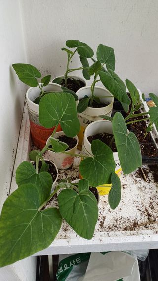 박순덕님의 자유주제 · 자유게시판 작성글 사진