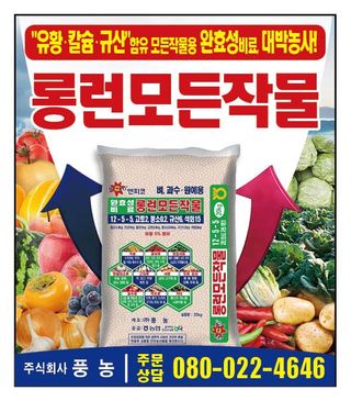 엔피코뉴스님의 자유주제 · 자유게시판 작성글 사진